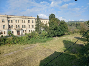 Hotel David