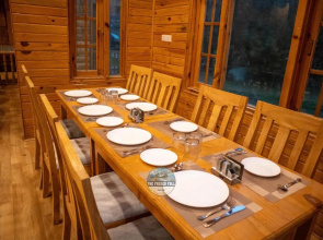 The FrozenFall Resort - Gulmarg