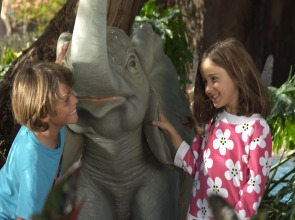 Lopesan Baobab Resort