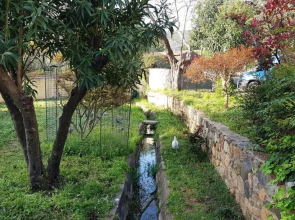 Clos SAN MICHELE 2023 - La TONNELLE