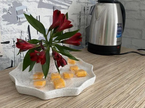 Апартаменты на бульваре Чавайна