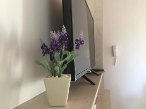 Apartamentos Irigoyen