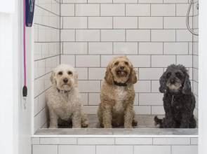 Forthay Bed and Breakfast