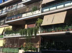Piccolino