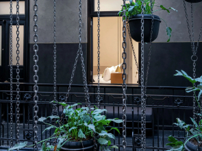 Umbral, a Curio Collection by Hilton
