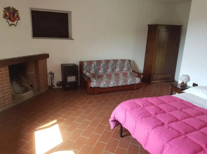 Le Chianine dei Tognoli