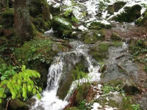 Ferienhaus Ederer