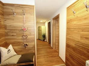 Beautiful Flat Near the Hochzillertal ski Area