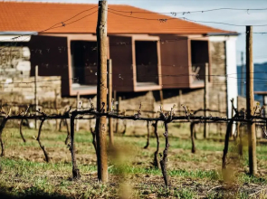 Casa do Santo - Wine & Tourism