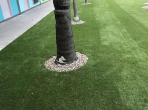 Tropical Inn & Suites