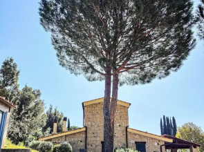 Residence con piscina a Guardistallo
