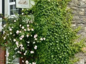 The Mulberry Inn