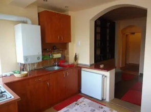 City Center Apartment Mihai Viteazu