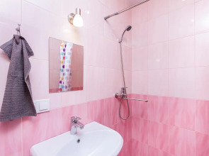 Веста на проспекте Карла Маркса