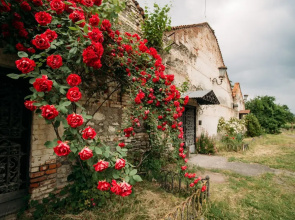 Chateau Eniseli