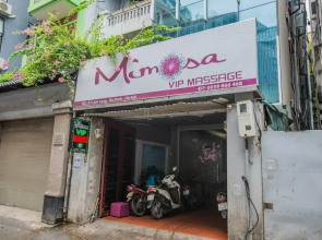 Japanese House In Hanoi