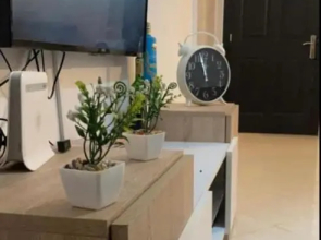 Appartement Moderne o6 3 7 7o 23 36