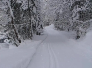 Frühstückspension Rüf