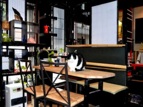 Kyoto Shirakawa Kiraku Inn - Hostel