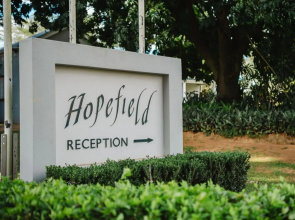 Hopefield BnB