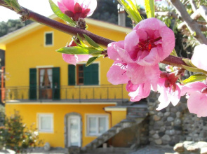 Agriturismo Costa di Campo