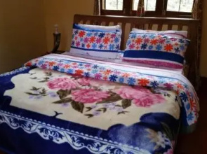 Mama Simba Bed And Breakfast