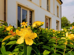 L'aja della Mirusina - Piedmont Resort