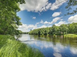 Cozy Cabin on 10 Acres, Walk to Chippewa River!
