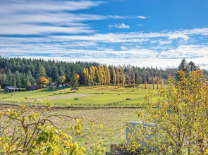 Hikes & Apples: Renovated Farmhouse in Gig Harbor!