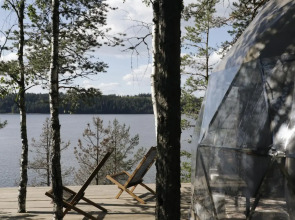 Вили Улей Карелия