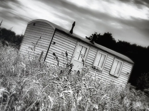 Springwood Shepherd Huts