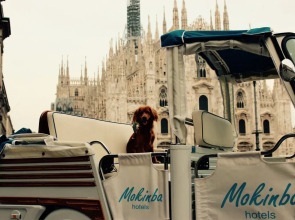 Mokinba Hotels Montebianco