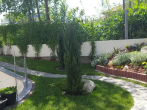 Plexus By Don Boutique