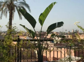 Riad Perle Du Sud