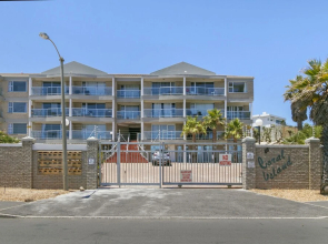 Coral Island 204