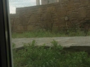 Ypsipyli