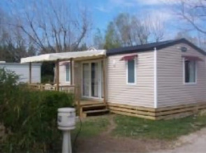 Aloe Camping Lou Comtadou