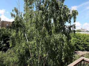 Apartment Kiev Lesi Ukrainki