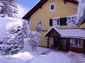 Apartments Haus Steinbock