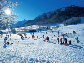 Nice apartment at 900 m from Lake Bled with views over Stol mountain