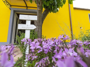 Agriturismo L'Olmo di Casigliano