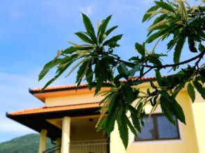 Apartment Kalina Hills