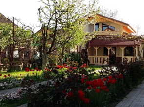 Casa Ioana
