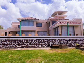 Shetty Farms