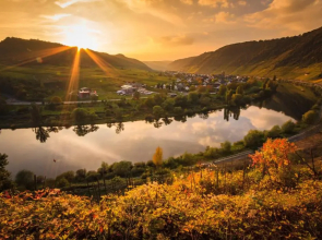 Ferienweingut Gansen Hochgenuss 2