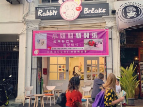 Rabbit Breaks Penang Hostel