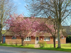 Entspannung unter Reet