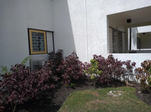 213 Golden Grove
