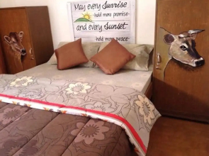D' Backpackers' Barn - Hostel