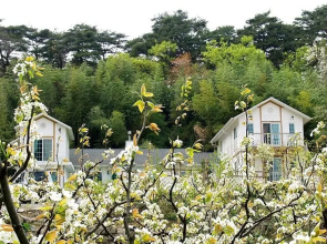 Cee and Valley Pension